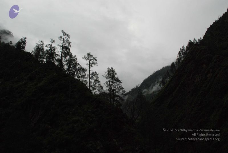 File:20080708 DSC 0737 CMP WM.jpg