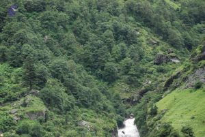 20080708 DSC 0739 CMP WM.jpg