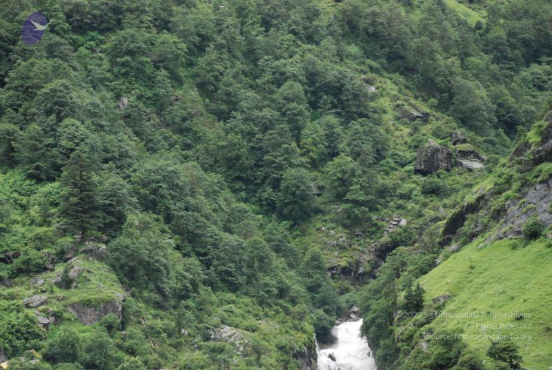 File:20080708 DSC 0739 CMP WM.jpg