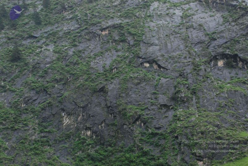 File:20080708 DSC 0755 CMP WM.jpg