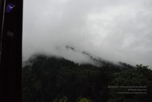 20080708 DSC 0756 CMP WM.jpg