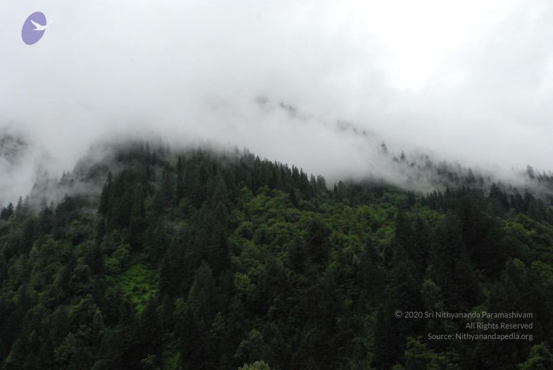 File:20080708 DSC 0757 CMP WM.jpg