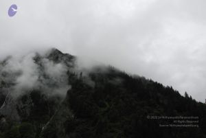 20080708 DSC 0764 CMP WM.jpg