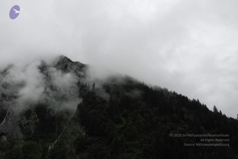 File:20080708 DSC 0764 CMP WM.jpg