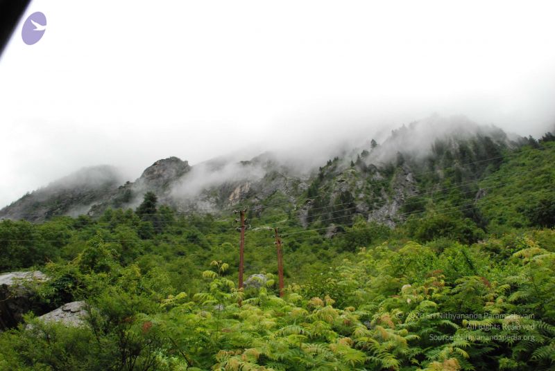 File:20080708 DSC 0768 CMP WM.jpg