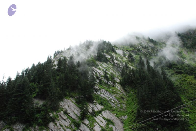 File:20080708 DSC 0786 CMP WM.jpg