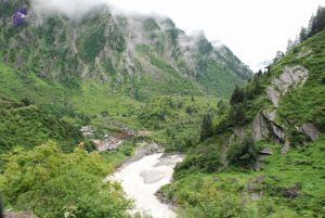 20080708 DSC 0791 CMP WM.jpg