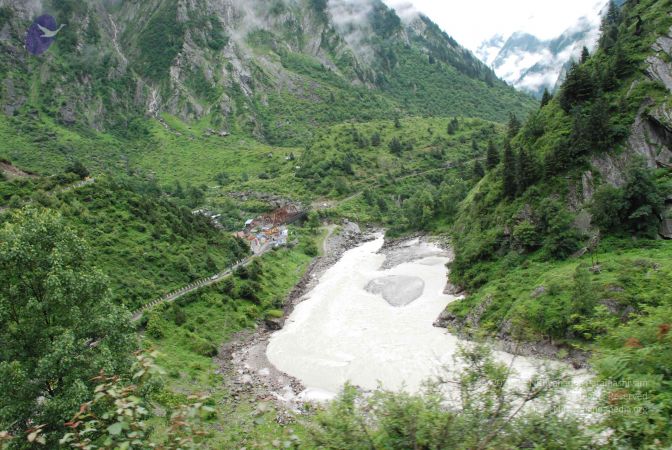 20080708 DSC 0793 CMP WM.jpg