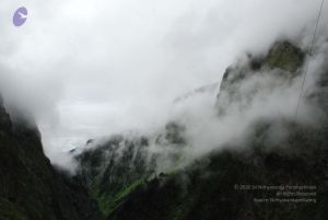 20080708 DSC 0818 CMP WM.jpg