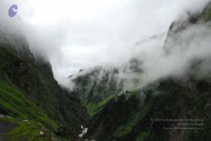 20080708 DSC 0819 CMP WM.jpg