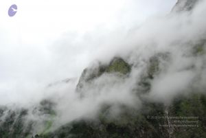 20080708 DSC 0820 CMP WM.jpg