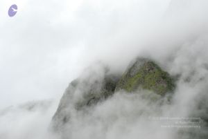 20080708 DSC 0821 CMP WM.jpg