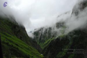 20080708 DSC 0825 CMP WM.jpg