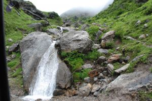 20080708 DSC 0826 CMP WM.jpg