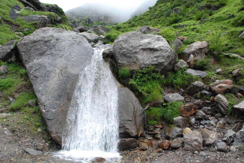 File:20080708 DSC 0828 CMP WM.jpg