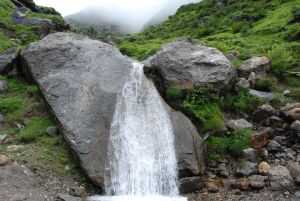 20080708 DSC 0829 CMP WM.jpg