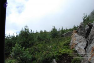 20080708 DSC 0832 CMP WM.jpg