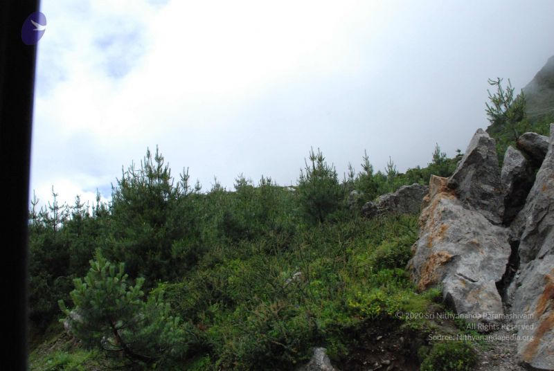 File:20080708 DSC 0832 CMP WM.jpg