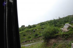 20080708 DSC 0835 CMP WM.jpg