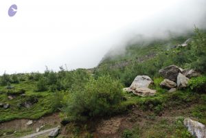 20080708 DSC 0836 CMP WM.jpg