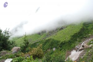 20080708 DSC 0843 CMP WM.jpg