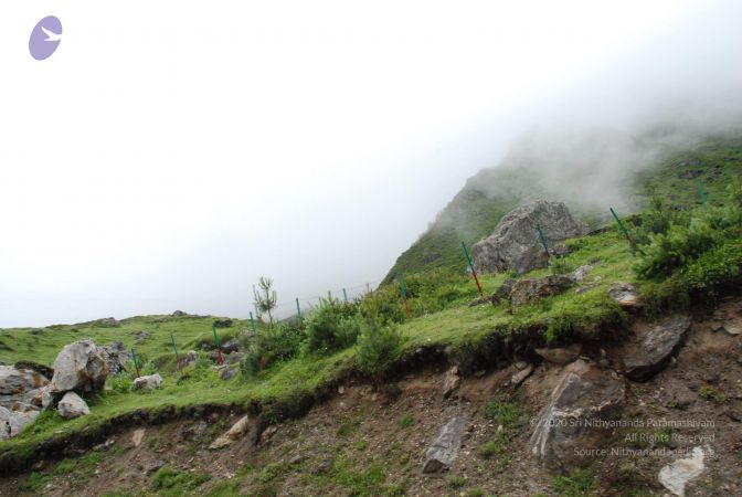 20080708 DSC 0850 CMP WM.jpg