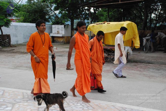 20080710 Photo 1163 1GyZyI2v9jPs6OvCswiQKV2aFLrN5vbtL.JPG