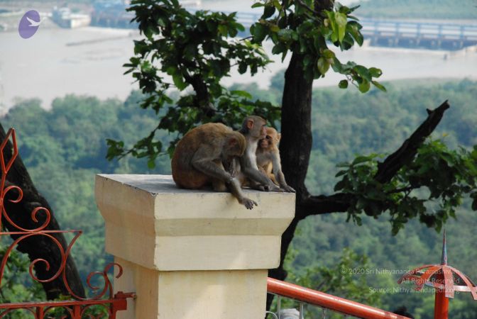 20080710 Photo 1291 1bZ1f6AVTVbKZPN1OIcW4CbGVpdFMOKkG.JPG