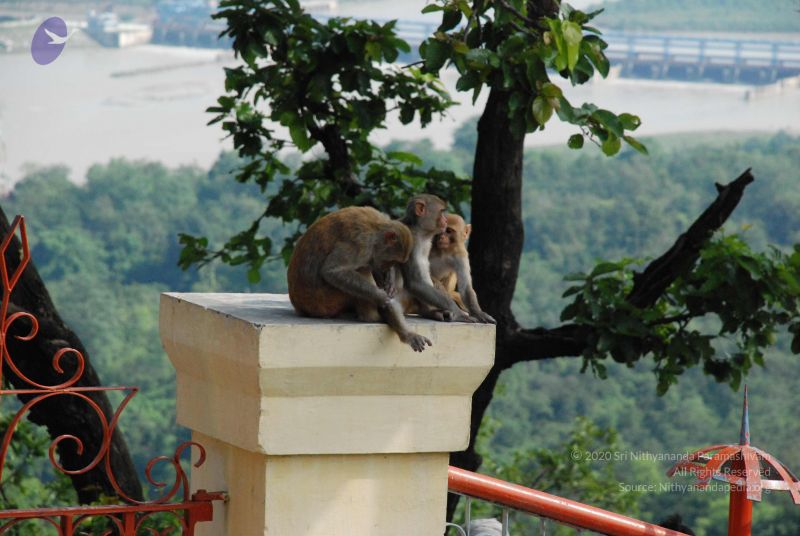 File:20080710 Photo 1291 1bZ1f6AVTVbKZPN1OIcW4CbGVpdFMOKkG.JPG