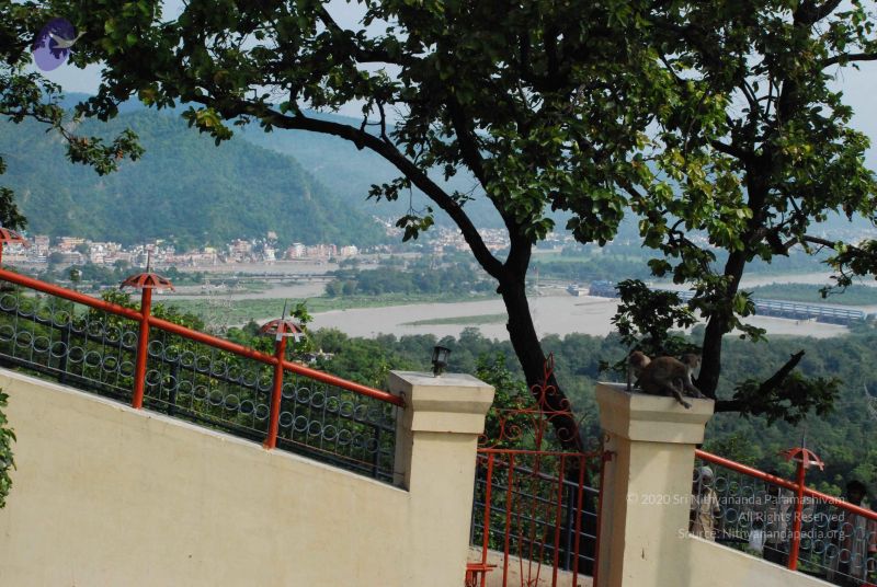 File:20080710 Photo 1292 1iDZN1S vPRYFTH9OA x1XpJYY0l aFNa.JPG