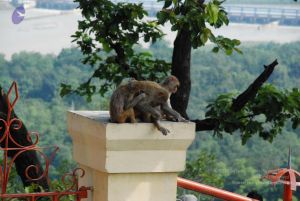 20080710 Photo 1294 1REEbS1ApcRagC hc6eBqY81RLGp8oC77.JPG