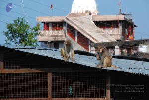 20080710 Photo 1312 1uZhaAurzF2A7v1Xva1WvL079y-swPw-e.JPG