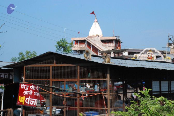 20080710 Photo 1314 1cw uxJYojYK-M3ZQ-pz-dZ6dIQFAIVyl.JPG