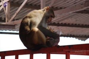 20080710 Photo 1332 1H3MROaZHRhQv-qYGsjG7RtVV8DGT3p10.JPG