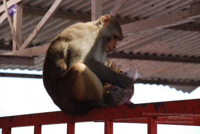 20080710 Photo 1332 1H3MROaZHRhQv-qYGsjG7RtVV8DGT3p10.JPG