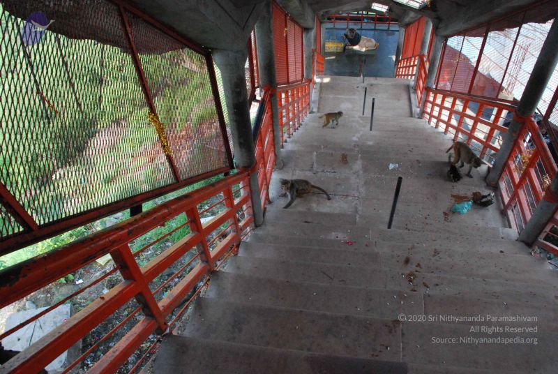 File:20080710 Photo 1340 1yam37u5Cal2yjNPaFhUR9VGdiIadNvCO.JPG