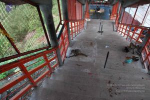 20080710 Photo 1341 1Z4FZQHyvVOKdOBZ7VAzblTMzvs7ih1Io.JPG