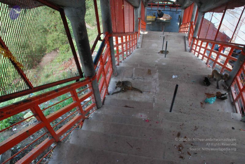 File:20080710 Photo 1341 1Z4FZQHyvVOKdOBZ7VAzblTMzvs7ih1Io.JPG