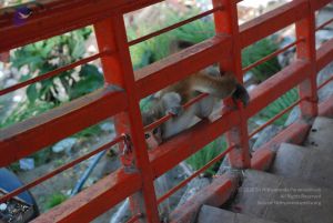 20080710 Photo 1343 1v4p lYwwWMQGQghkiKcyMds7--awCacM.JPG