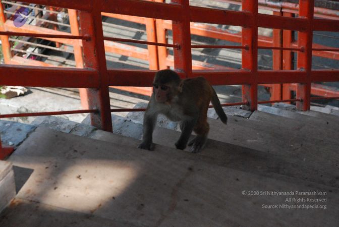 20080710 Photo 1344 1KZQPdBNxTpmZWw2thSMSFOhEuge-2yOK.JPG