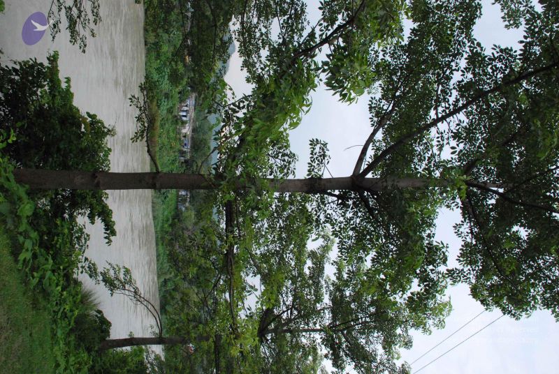 File:20080711 Photo 1004 1juB2tpF v1PbLhHue12spUYsM14ChmDh.JPG