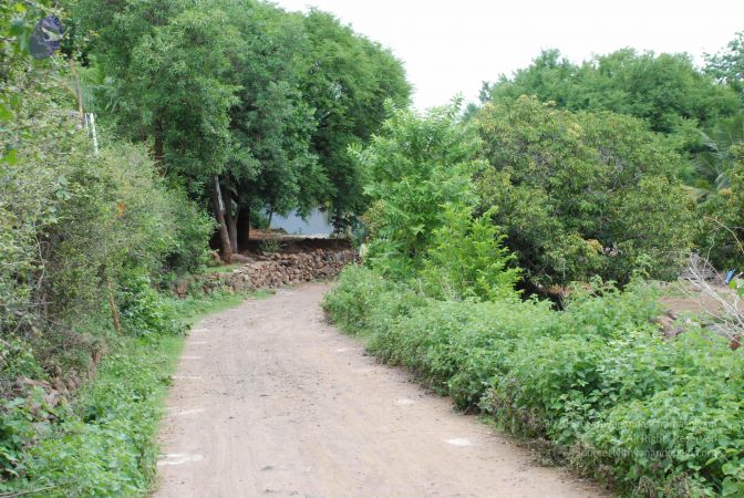 20080727 Photo 1008 1bK-O-3ZnJCl0iX-w9tlDzAQSP9nuA c4.JPG