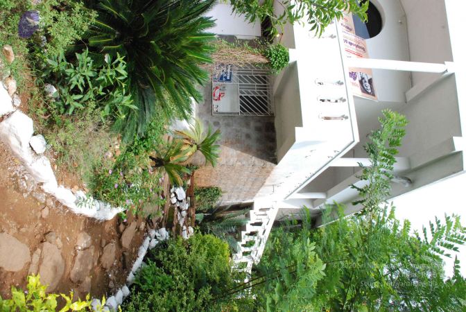 20080727 Photo 2037 1PsS0HudticrXJeC6xuIwIT5uSBAy6d4F.JPG