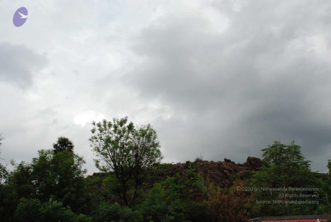 20080727 Photo 2054 1pZGB8ato9QoQYh8Hg74pNCy8fyNfvfs3.JPG