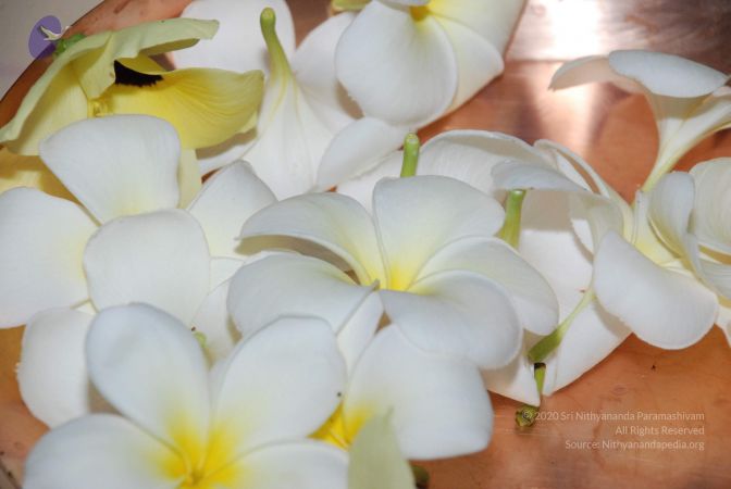 20080728 Photo 1699 1Ubc6Ece3b1swdyn900EqTpE3vCk53LgC.JPG