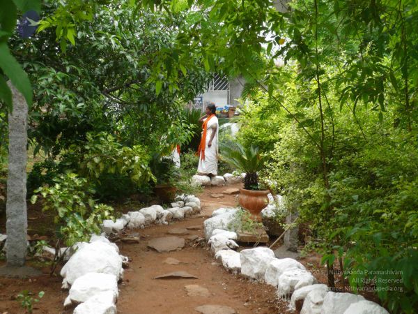 20080728 Photo 1725 1TddKzPOhNVcF2GkHn1MErf8-UV683M0F.JPG