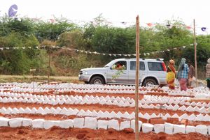 20080729 Photo 1017 1BvB-LbMrkBC9iFyd52UYrXD4bEByjbBY.JPG