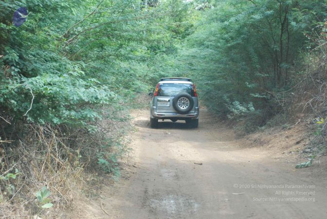 20080729 Photo 1088 12ZiTfGdbvbmT4lO8HADYywmKpp-Tw2OX.JPG