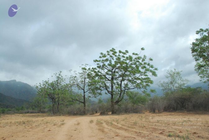 20080729 Photo 1111 13fqZn3HOKSIufZalVRPlFZiRSX8goH7u.JPG