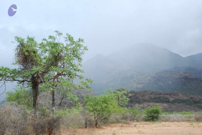 20080729 Photo 1190 14Nup3W ss3WhQ9Fh8iTkqgA-QhC2Vz4Y.JPG